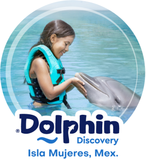 02_DD_Isla-Mujeres_Ing