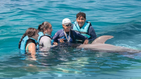 plantilla para fotos