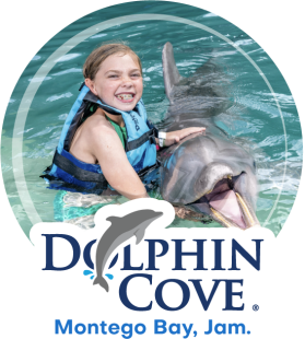 Dolphin Cove Montego Bay
