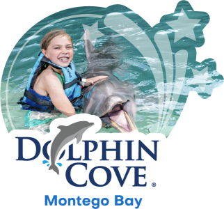 Dolphin Cove Montego Bay