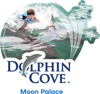 Dolphin Cove Moon Palace