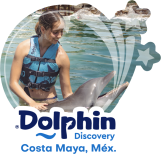 Dolphin Discovery Costa Maya