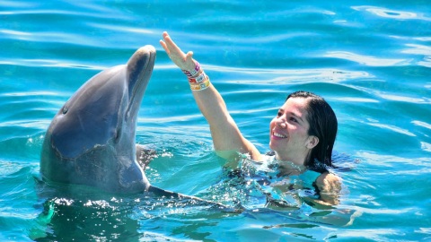 plantilla para fotos