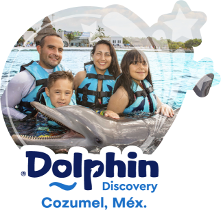 Dolphin Discovery Cozumel