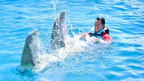 plantilla para fotos