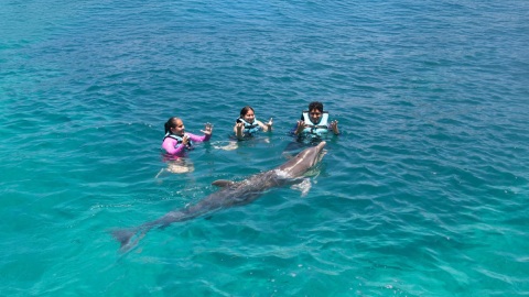 plantilla para fotos