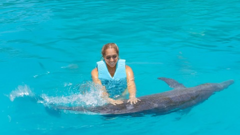 plantilla para fotos