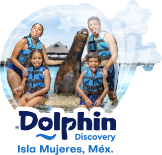 Dolphin Discovery Isla Mujeres