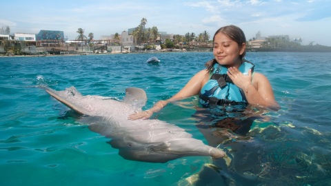 plantilla para fotos