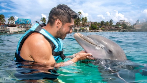 plantilla para fotos