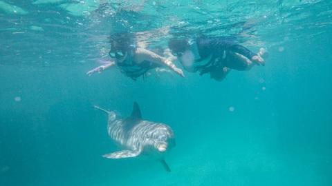 plantilla para fotos