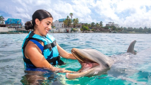 plantilla para fotos