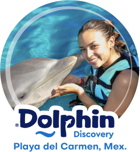 Dolphin Discovery Playa del Carmen