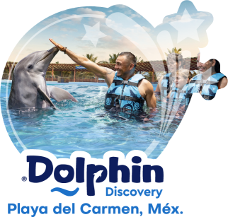 Dolphin Discovery Playa del Carmen