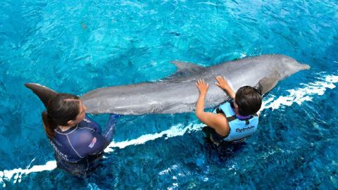 plantilla para fotos