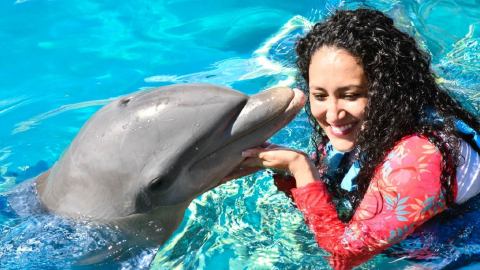 plantilla para fotos