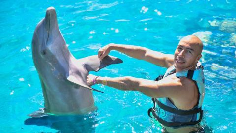 plantilla para fotos