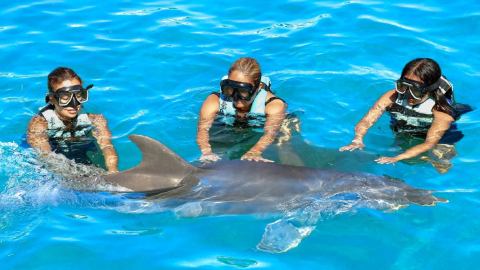 plantilla para fotos