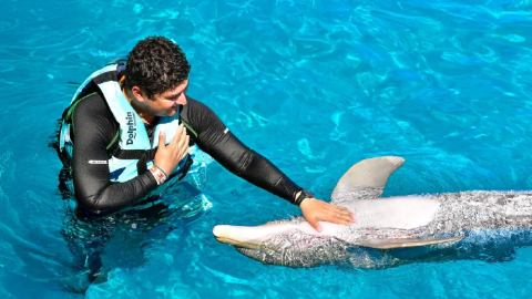 plantilla para fotos