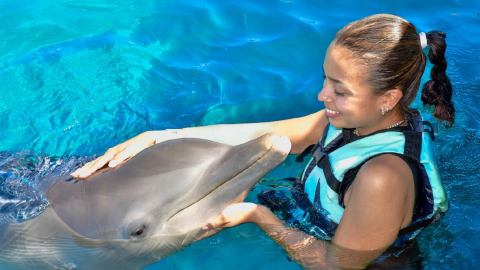 plantilla para fotos