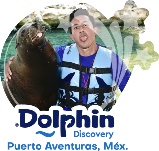 Dolphin Discovery Puerto Aventuras