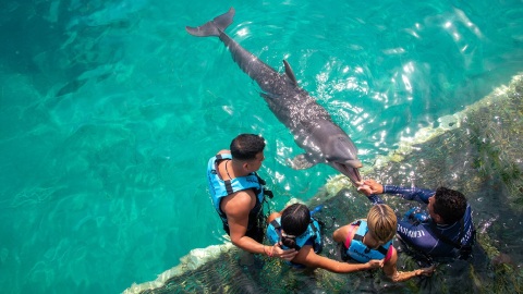 plantilla para fotos