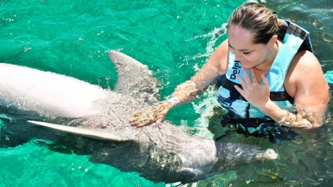 plantilla para fotos