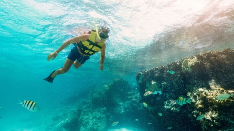 plantilla para fotos