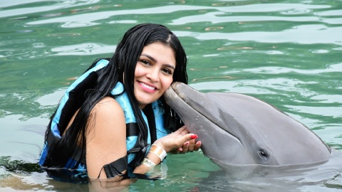 plantilla para fotos