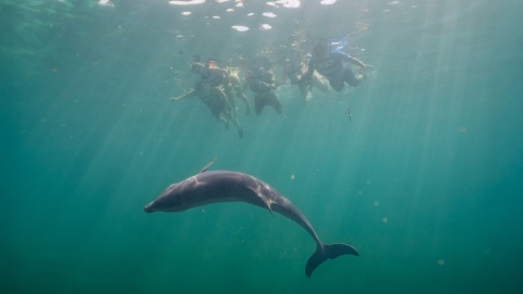 plantilla para fotos