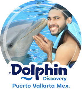 Dolphin Discovery Puerto Vallarta