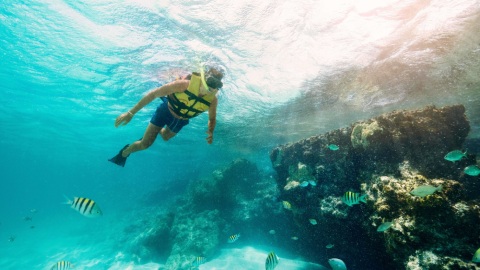 plantilla para fotos