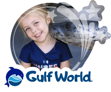 Gulf-world