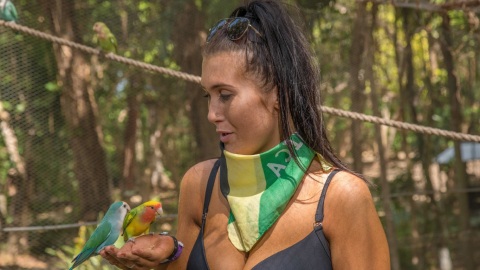 plantilla para fotos