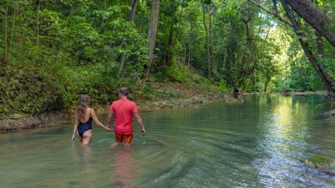 plantilla para fotos