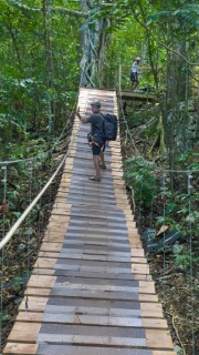 plantilla para fotos