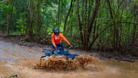 plantilla para fotos