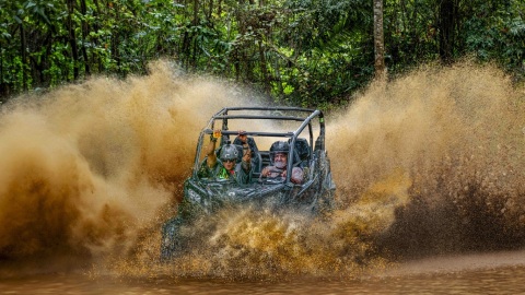 plantilla para fotos