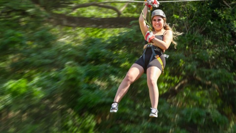 plantilla para fotos