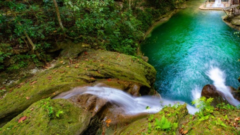 plantilla para fotos