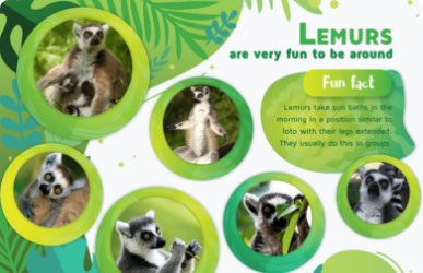 Lemurs are very fun