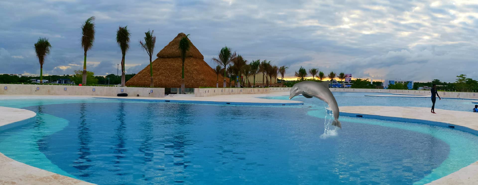 Dolphin Discovery Punta Cana