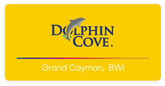 Dolphin Cove - Grand Cayman Logo