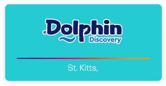 Dolphin Discovery St. Kitts Logo