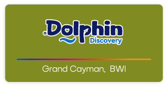 Dolphin Discovery Grand Cayman Logo