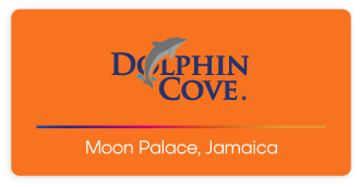 Dolphin Cove Logo