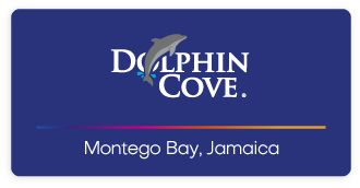 Dolphin Cove Montego Bay Logo