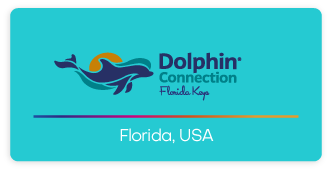 Dolphin Connection Logo