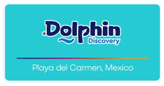 Dolphin Discovery Playa del Carmen Logo