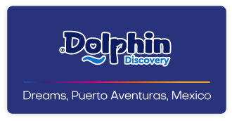 Dolphin Discovery Dreams Logo